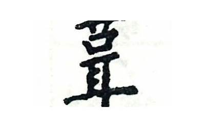 草字头卯(草字头加卯念什么)