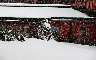 做梦梦到下雪(周公解梦梦到下雪了是什么意思)