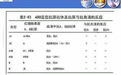 血型分析(超详细血型分析)