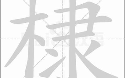 木元念什么(木字旁加元读什么)