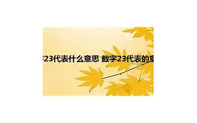 23什么意思(数字23代表的意思)