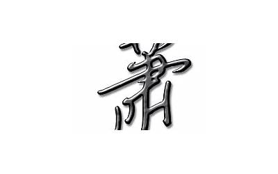 萧字五行属什么(萧字的五行属性是什么)