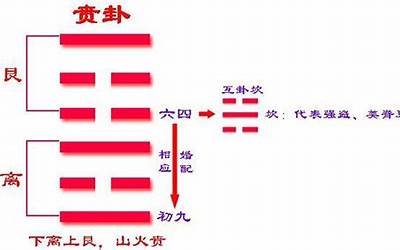 贲卦详解(易经第二十二卦)