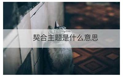 契合度(契合度什么意思)