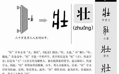 宣字五行属什么(宣字取名有什么意义)