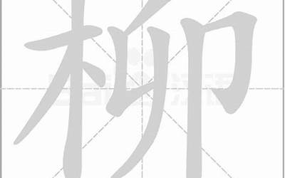 柳的笔顺笔画(柳字的笔画顺序)