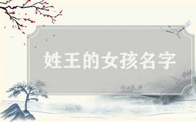 王取名字大全女(女孩姓王起什么名字)