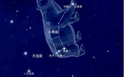 星座熊(大熊星座代表什么)