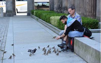 欧美人与动物(华人大妈却在国外抓小鸟)