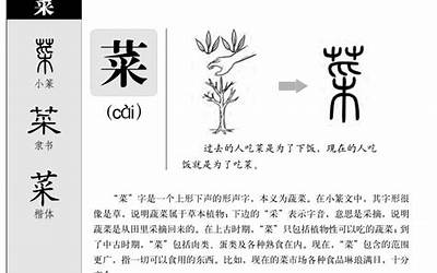 礼五行属什么(礼字取名有什么意义)