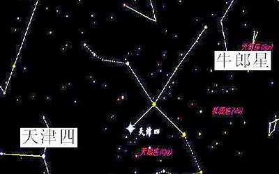 牛郎星属于哪个星座(牛郎星属于什么星座)