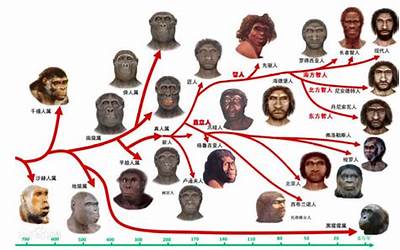 1984年属(出生在84年的人属什么)