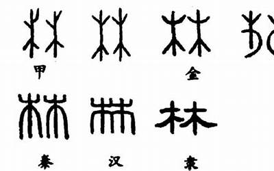 带有口的字(带口的字有哪些)