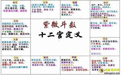 化科(紫微斗数中化科代表什么)