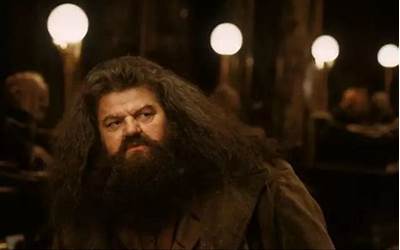 hagrid(hagrid是什么意思)