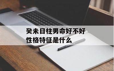 癸未日柱男命(性格特征是什么)