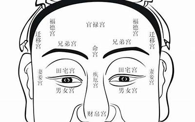 命宫天相(命宫天相代表什么)