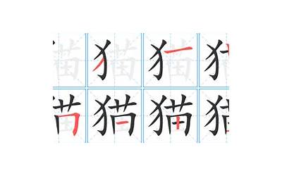 猫五行属什么(猫字的五行是什么)