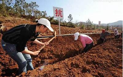 梦见挖地(梦见自己去挖地什么预兆)