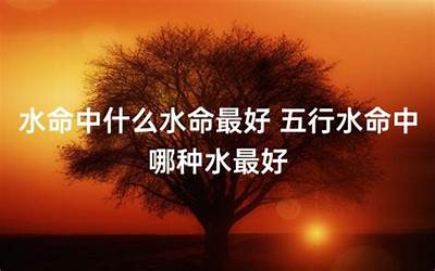 水命人是哪年出生的(水命人什么时候出生身最旺)