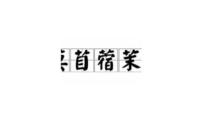 草字头的字有哪些(草字头的字大全)