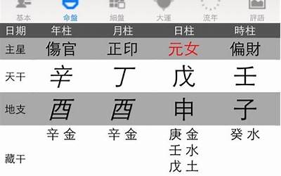 元女是什么意思(八字日柱元女什么意思)