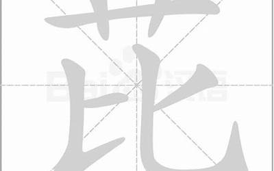 王比念什么(王比是什么字)