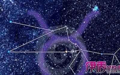 11月啥星座(十一月是什么星座)