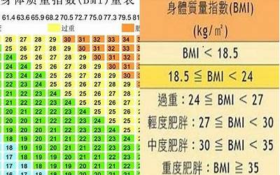 计算bmi(体重bmi指数的计算方法)