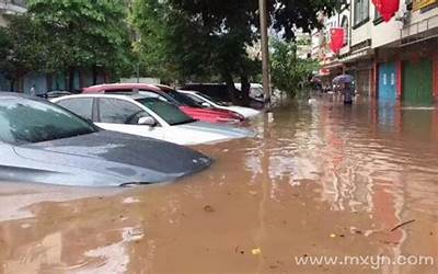 梦见涨水把路淹了(梦见涨大水淹没了道路有什么预兆)