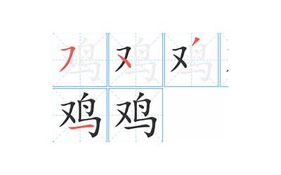 鸡笔画(鸡字笔画、笔顺、笔划)