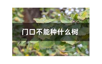 门口不能种什么树(看完立马知晓)