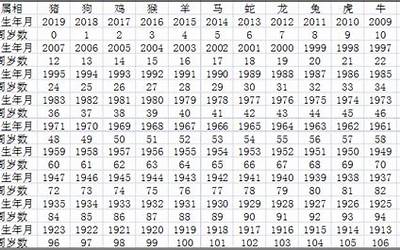 岁数生肖表(十二生肖岁数年龄对照表)