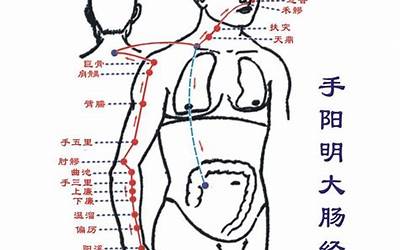 12经络(什么是十二经络)