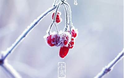 雪的意思(雪的含义是什么意思)