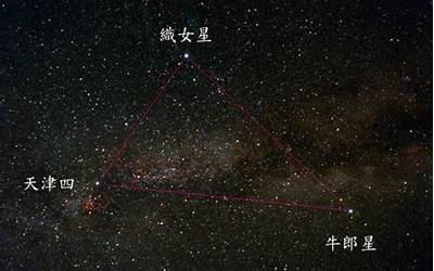 牛郎星是什么星座(牛郎星是哪个星座)