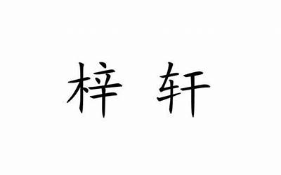 梓轩(梓轩这个名字有什么寓意是什么)