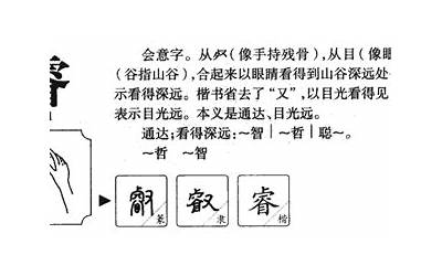 睿五行属什么(睿字取名有什么意义)