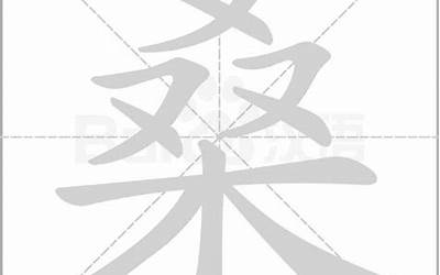 桑的偏旁是什么(桑字在名字里的含义)