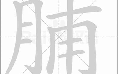 月加意念什么(月字旁加意念什么)