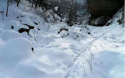 梦见厚厚的白雪(梦见雪很厚很白是什么意思)