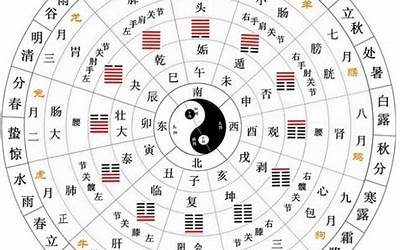 天干与地支(什么是天干地支)