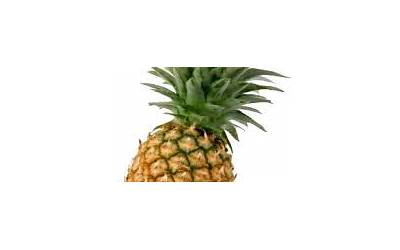 pineapple是什么意思(pineapple的用法)