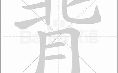 背字怎么写(背字怎样写好看)