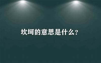 坎坷的意思(坎坷的意思是什么)