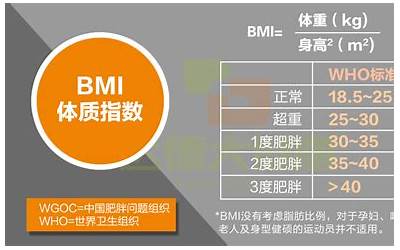 体质指数计算公式(BMI的计算公式是什么)