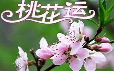 桃花运(桃花运是什么)