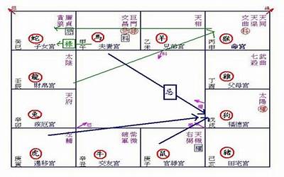 夫妻宫化忌入命宫(紫微斗数夫妻忌入命宫)