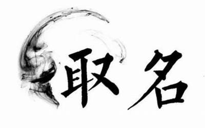 将是什么意思(将字取名的寓意)