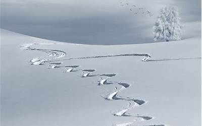 梦见铲雪(做梦梦见铲雪是什么预兆)